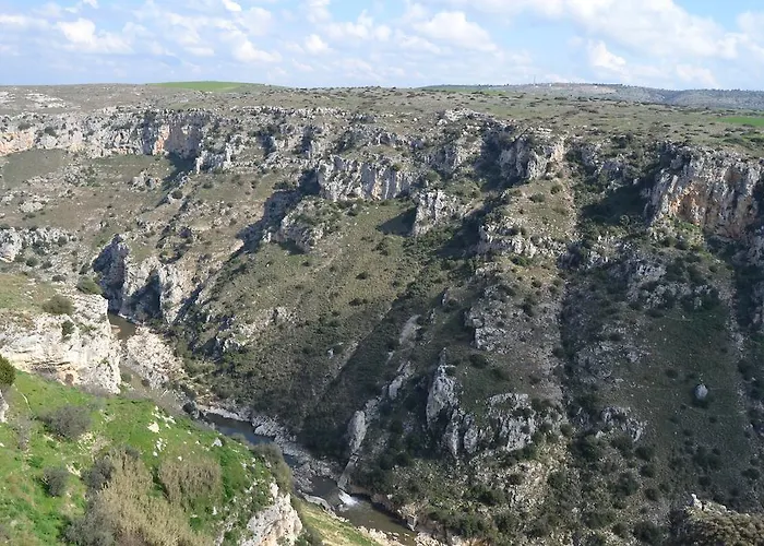 Graffiti Oda ve Kahvaltı